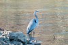 2022-02-20 JP Coleman State Park 038